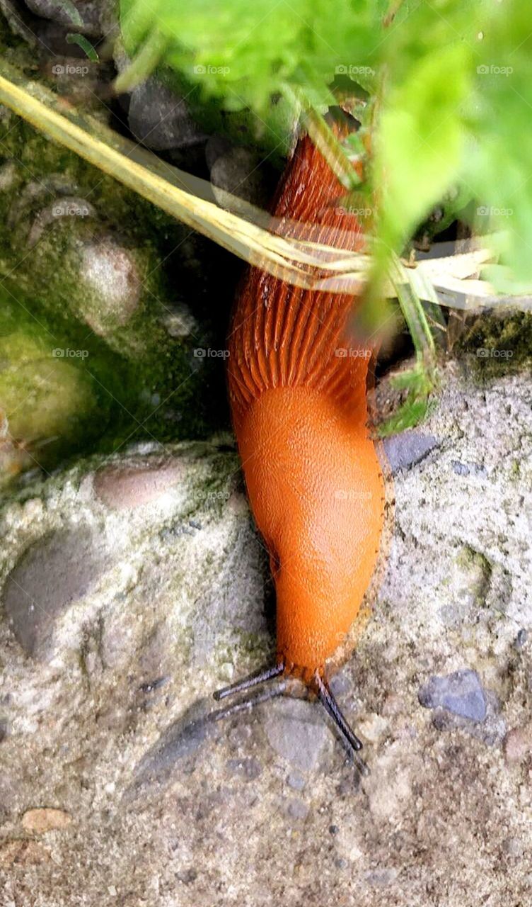 Visual movement contradiction 