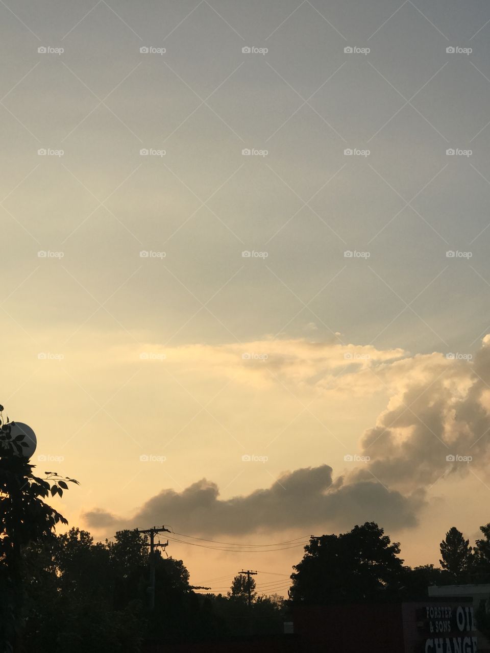 Sun setting with the trees as a silhouette 