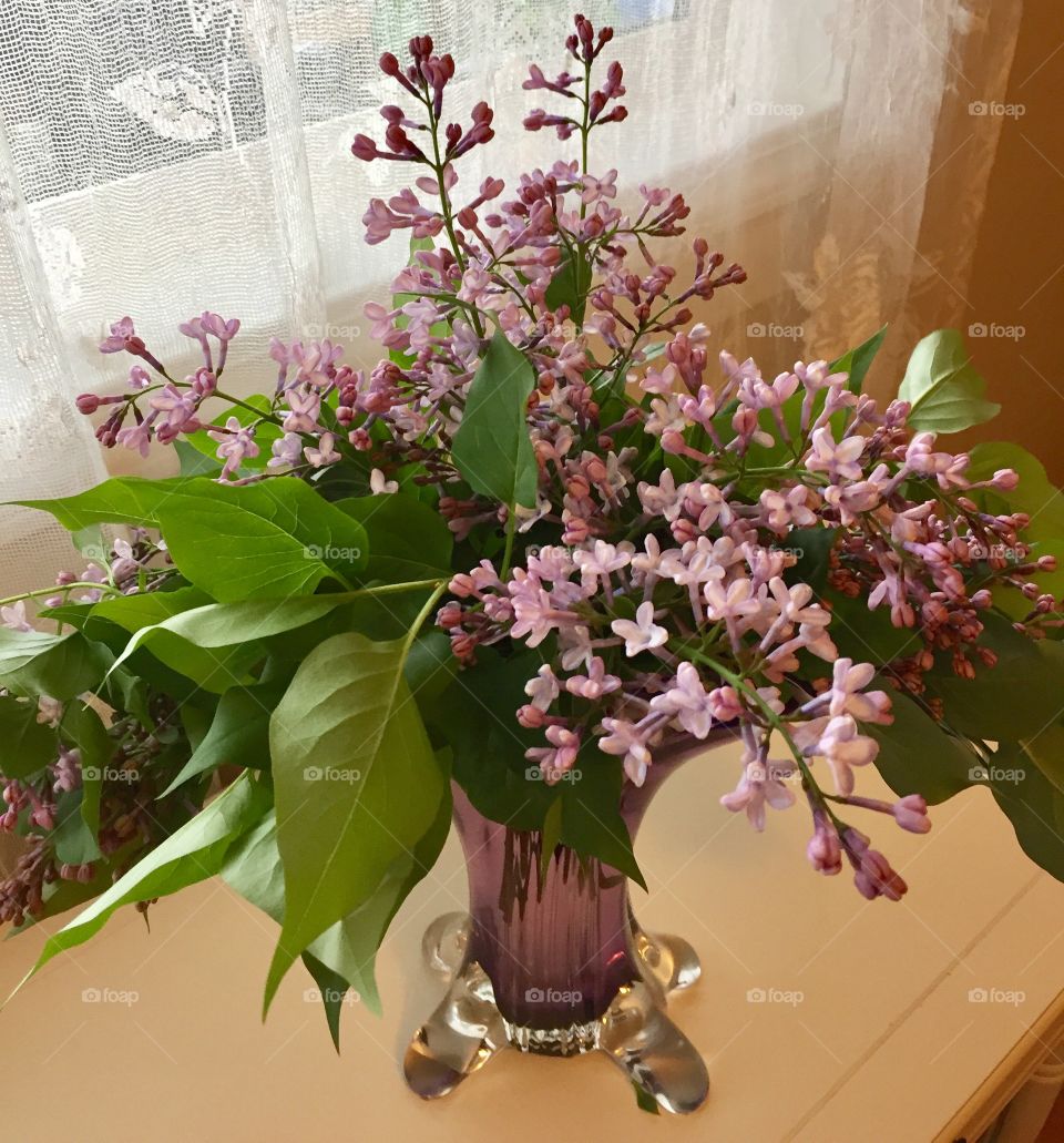 Lilacs in hand blown glass vase