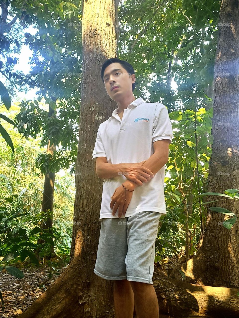 Background with natural trees