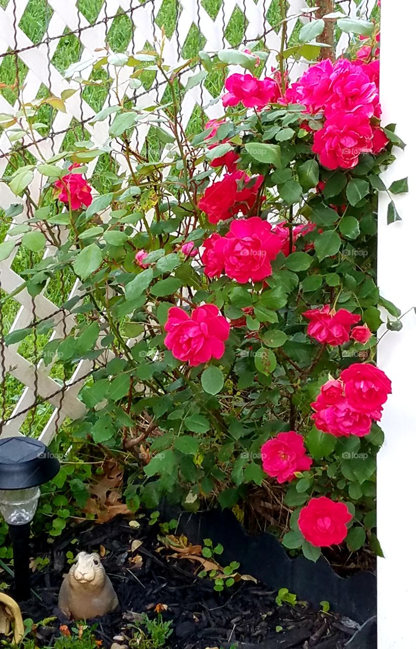 I Beg Your Pardon...