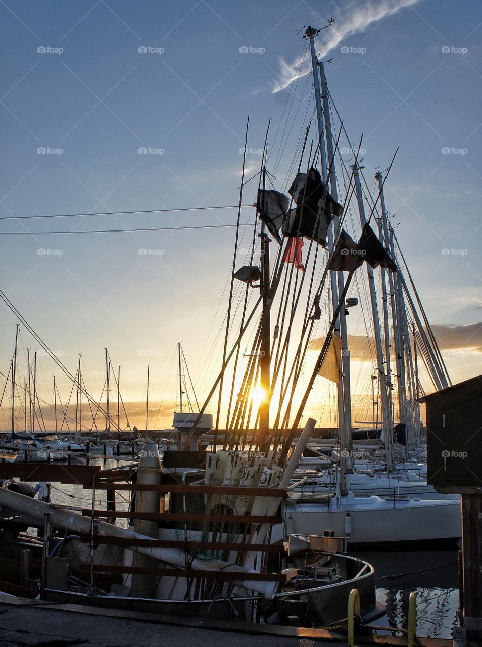 Fishingboats in the harbour