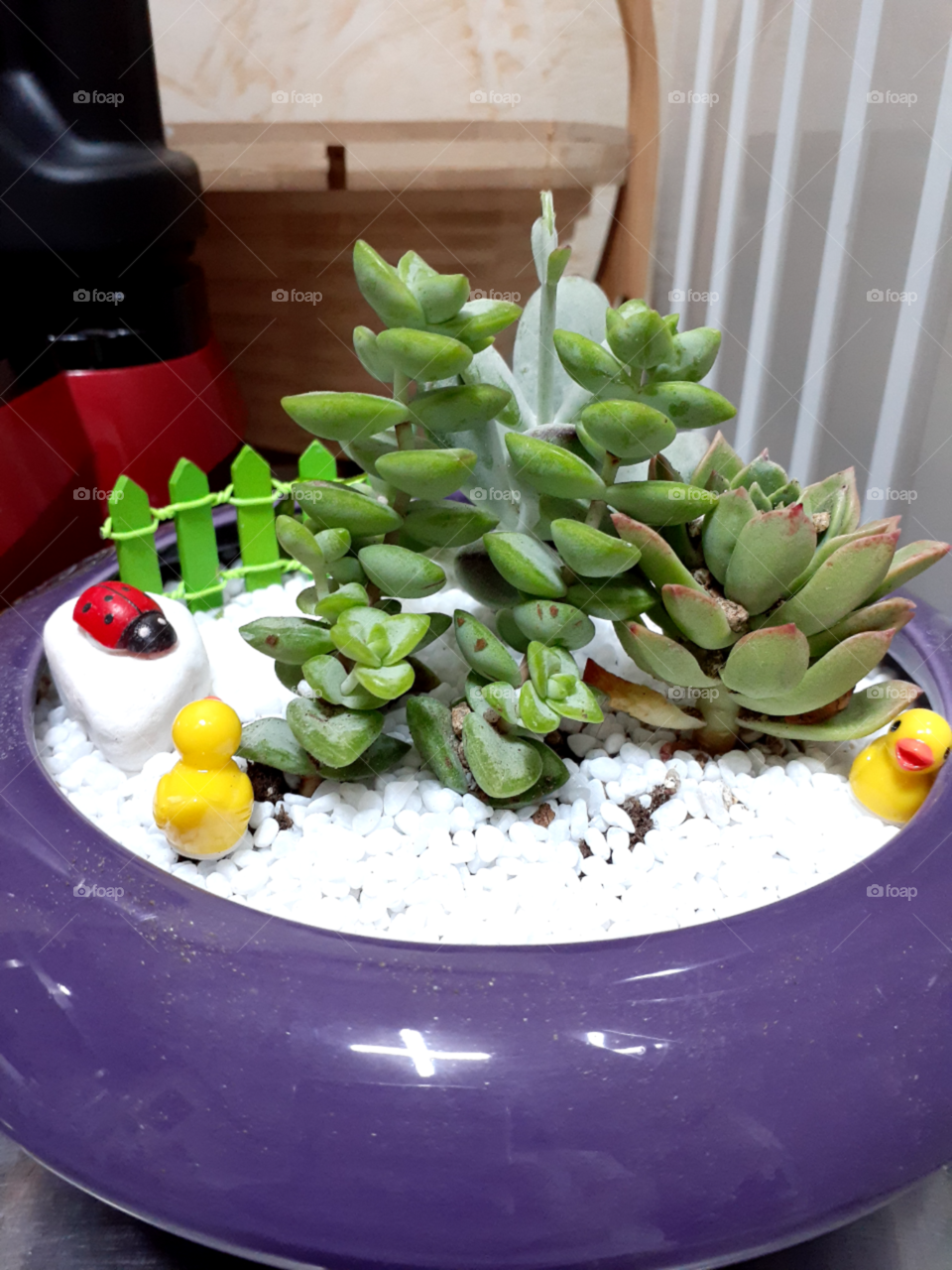 portrait  of a plant