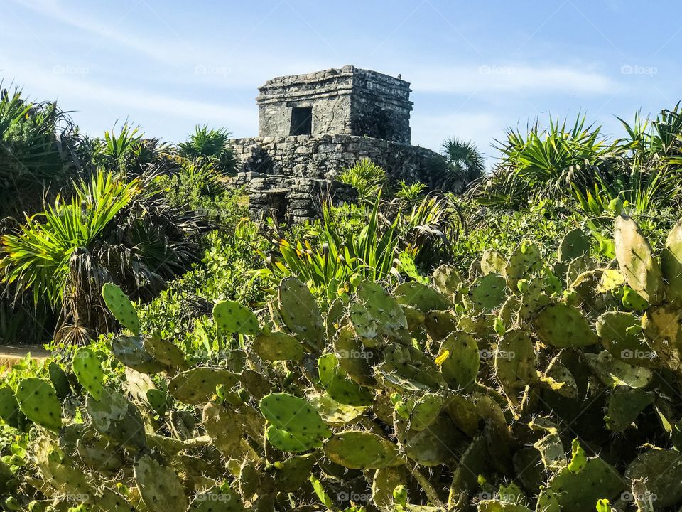 Buildings and Landmarks - Tulum Mayan Ruins in Cancun Mexico 