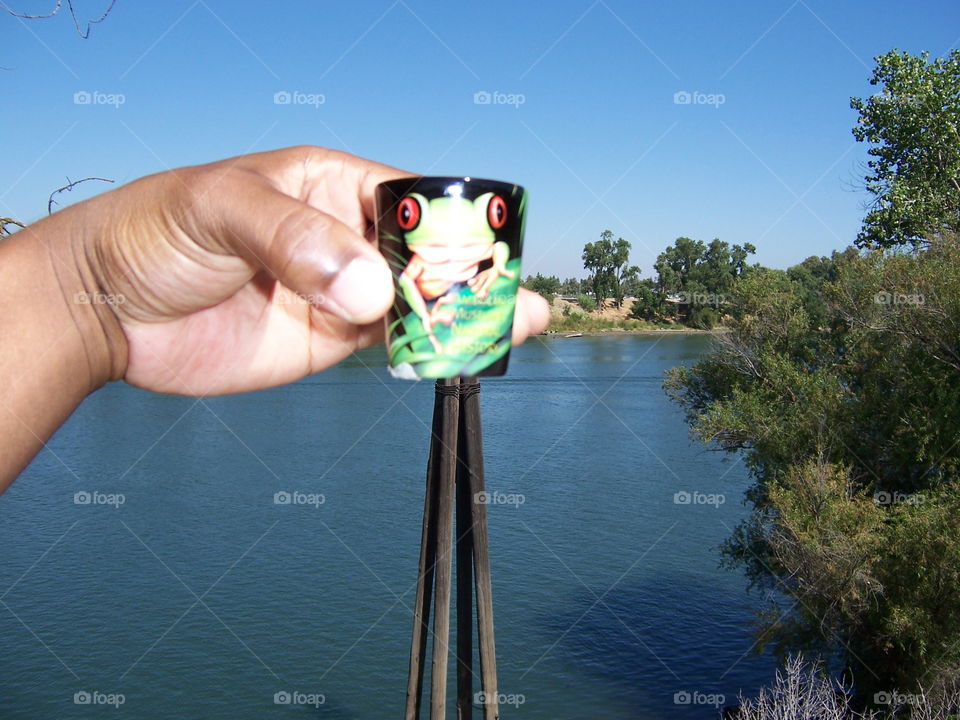 frog eyes. enjoying the day at the Sacramento River Walk