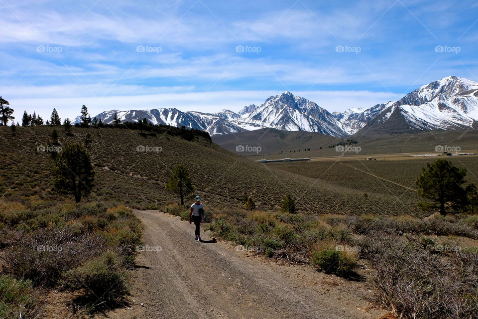 Mammoth Lakes