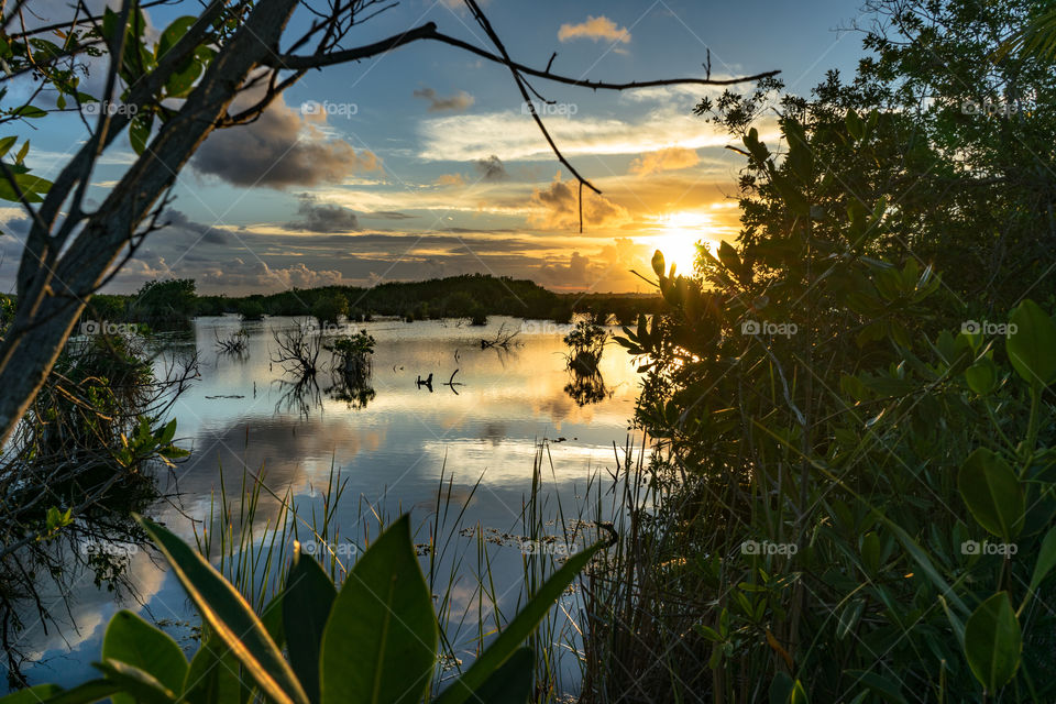 Autumn show us how beautiful it is to let things go 