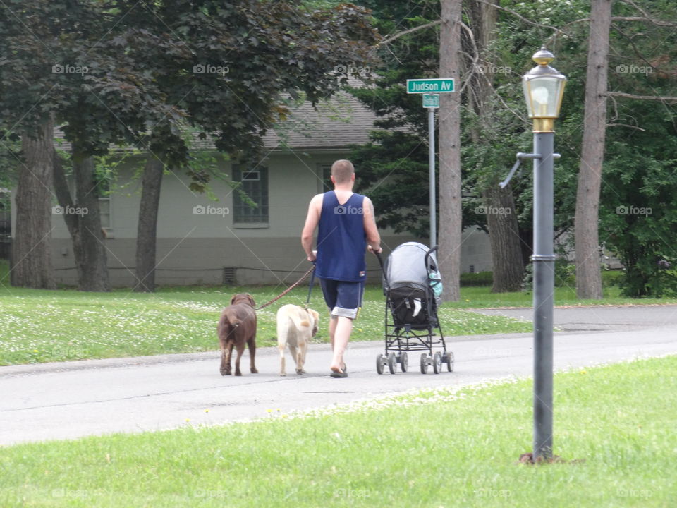 Double Duty Dad. Man walking two dogs while pushing a baby in a stroller