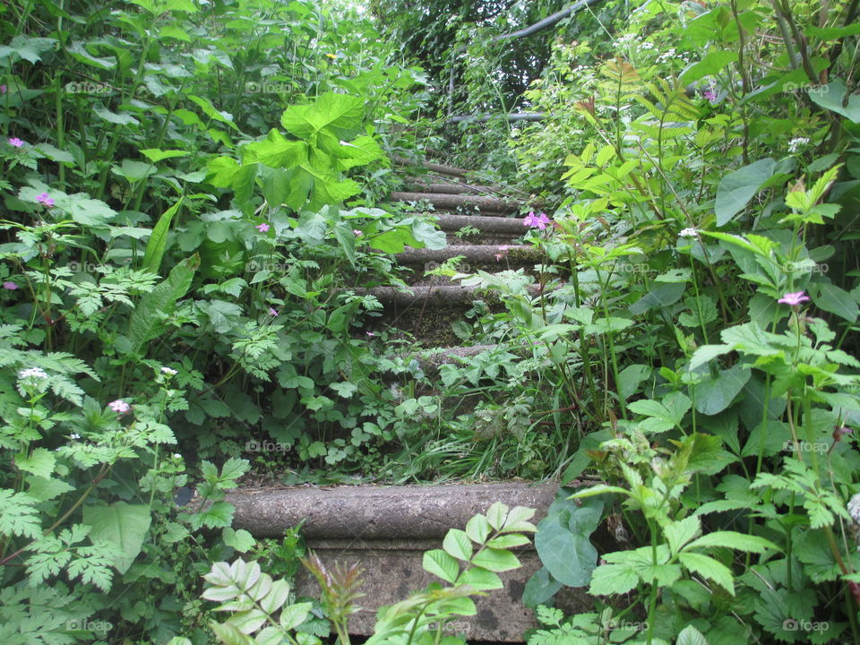 Stepping back from the heart.