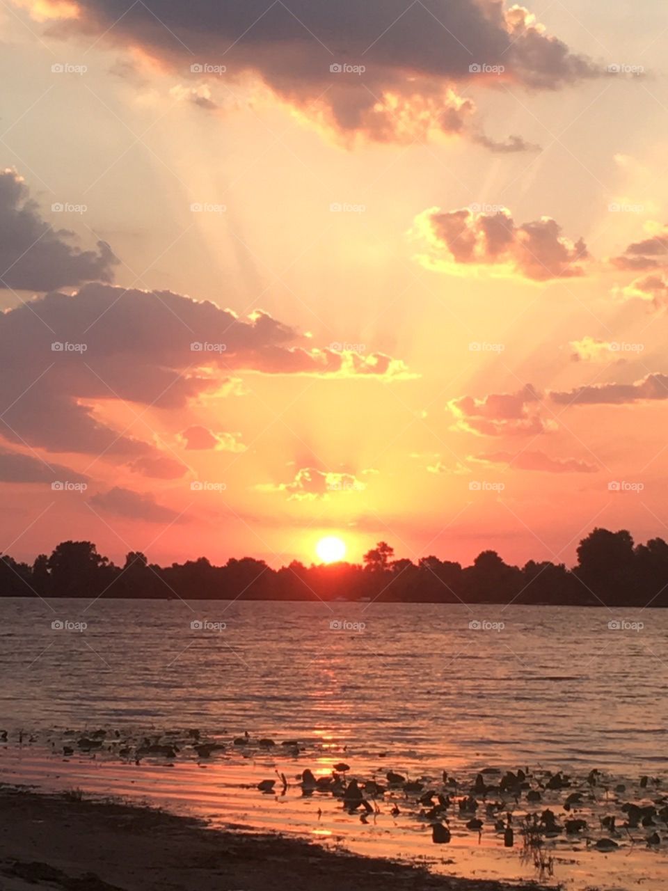 mythical dawn on the river