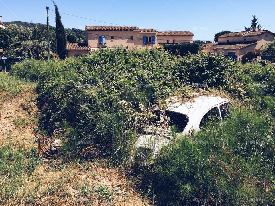 Bug in the grass. A Volkswagen Beetle being reclaimed by the environment.  