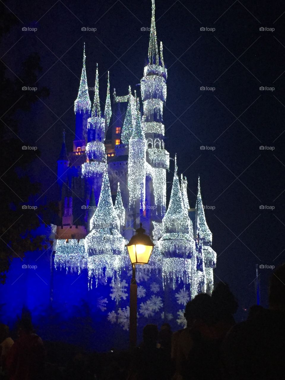 Cinderella's castle Magic Kingdom 