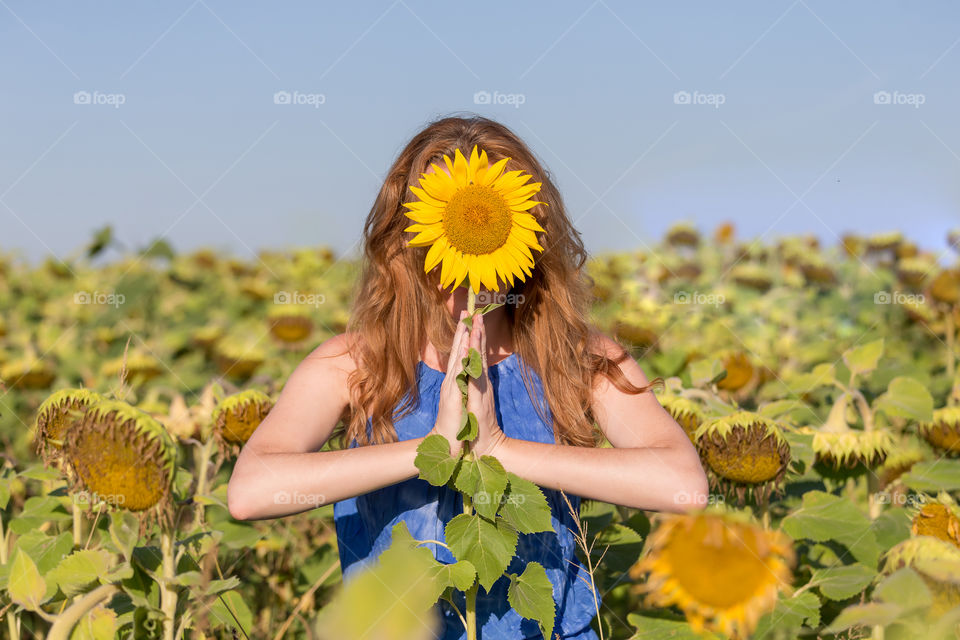 Sunflower namaste