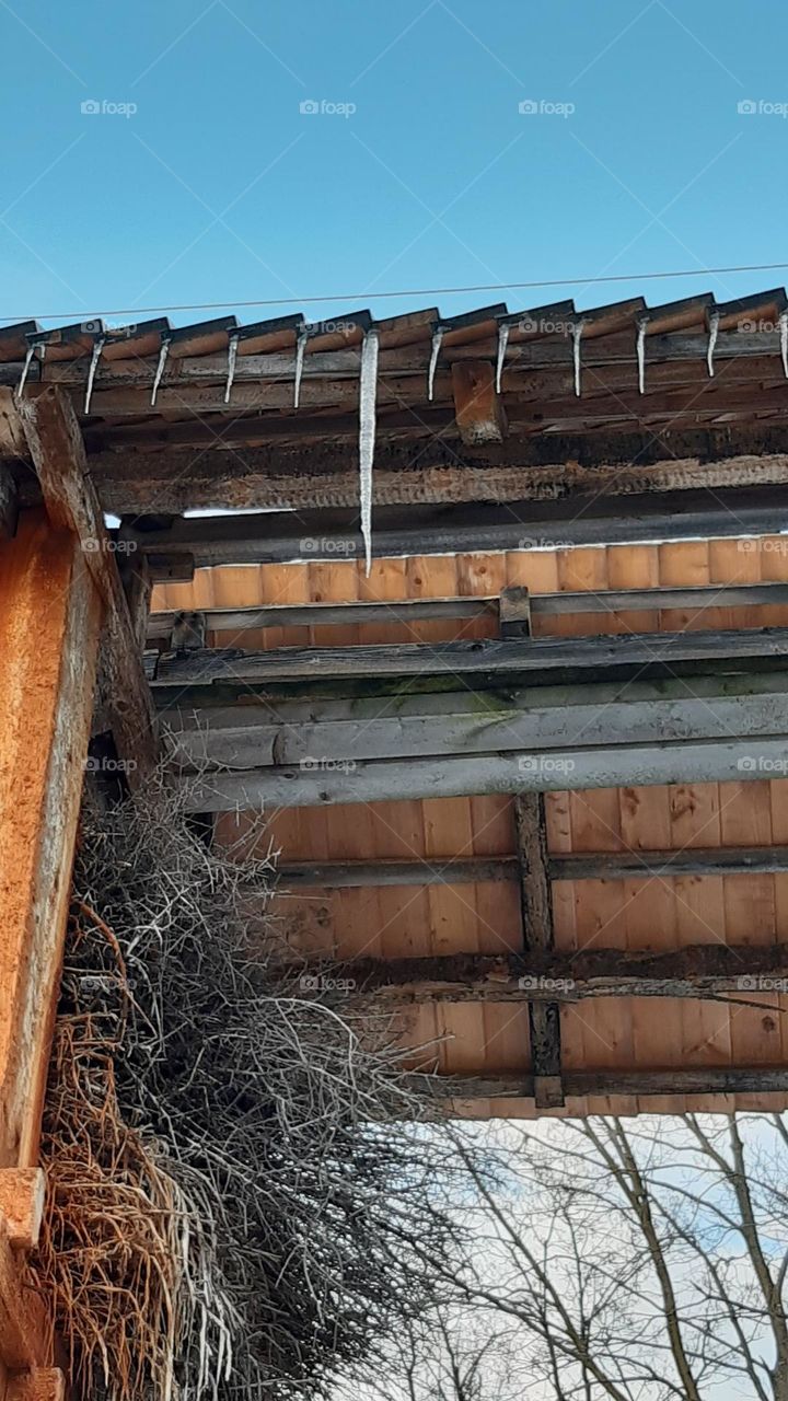 a large icicle among small ones, unusual frost, artistic icicles from the roof