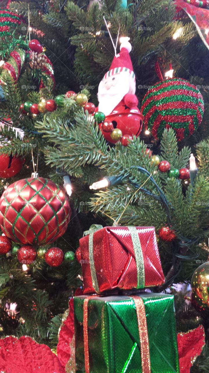 it's the most wonderful time of the year