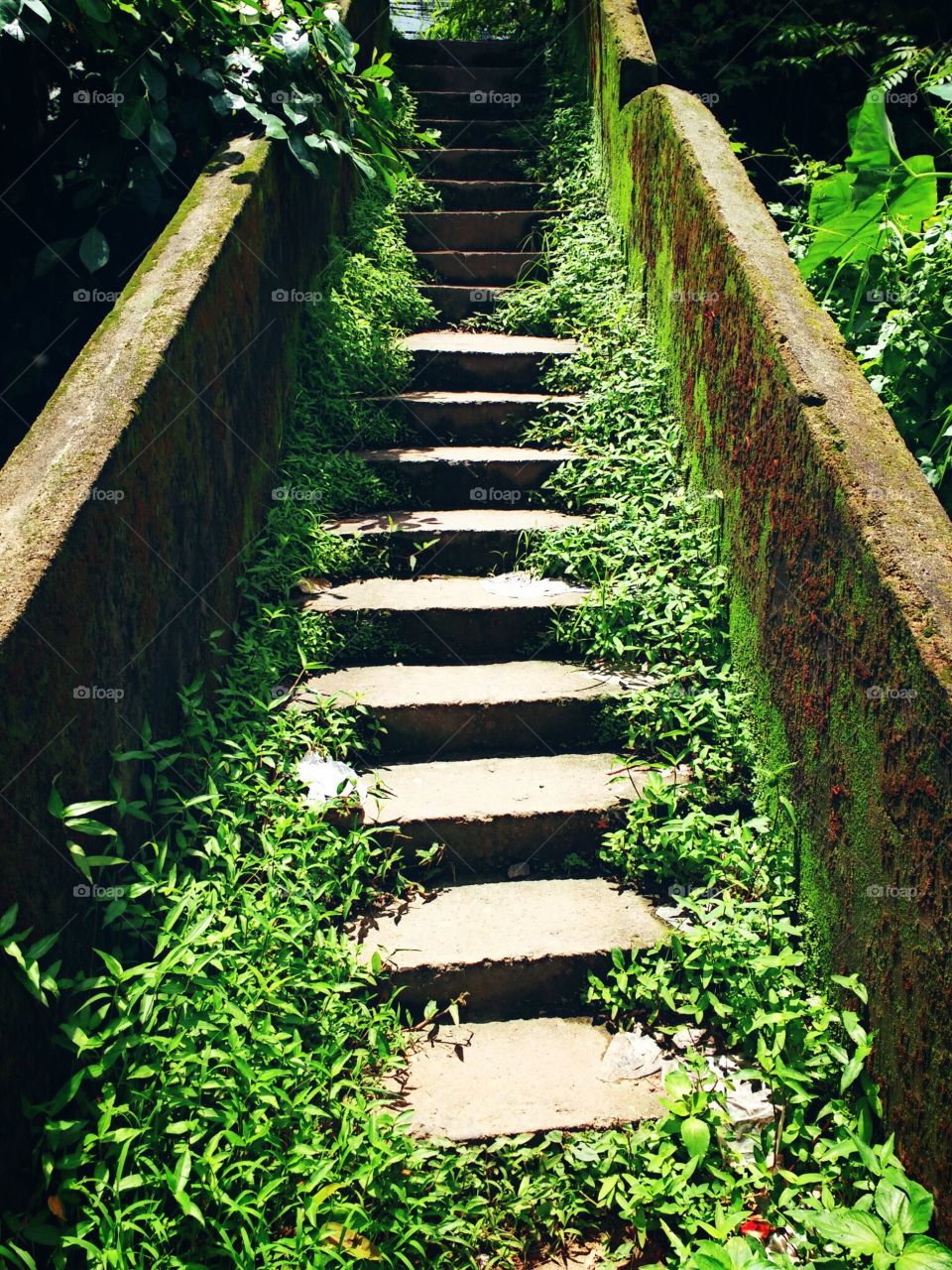 steps