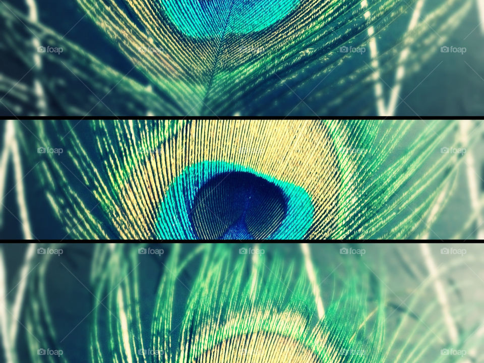 green blue feather beautiful by parulkundra