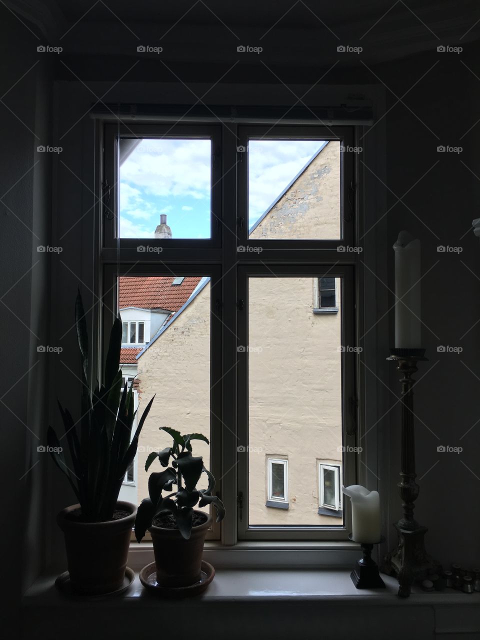 Window 