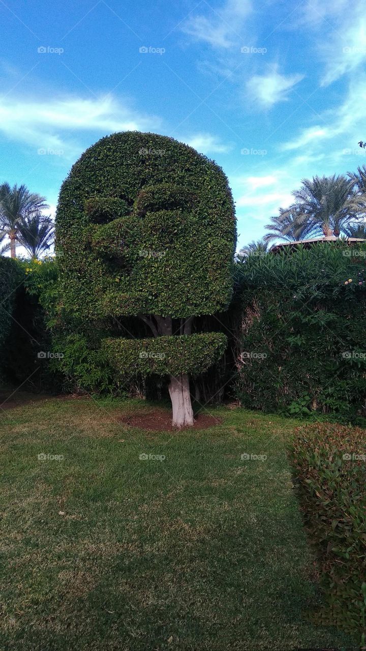 be authentic go green