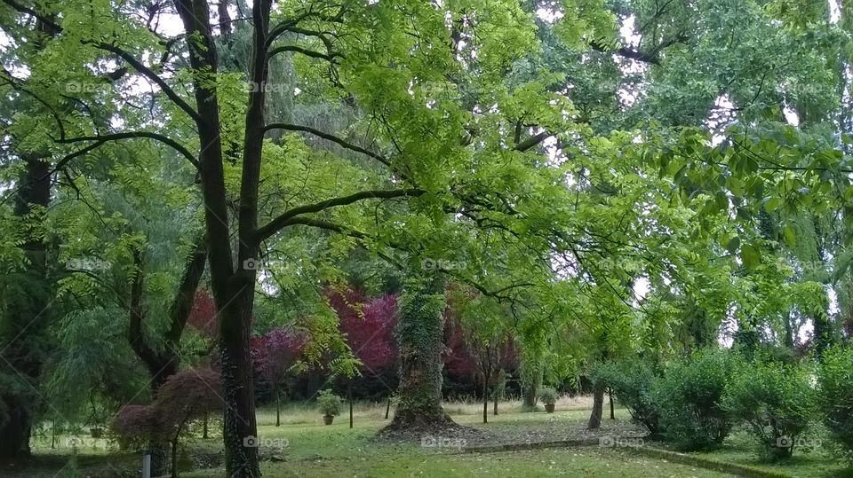 park in Vicenza - Italy