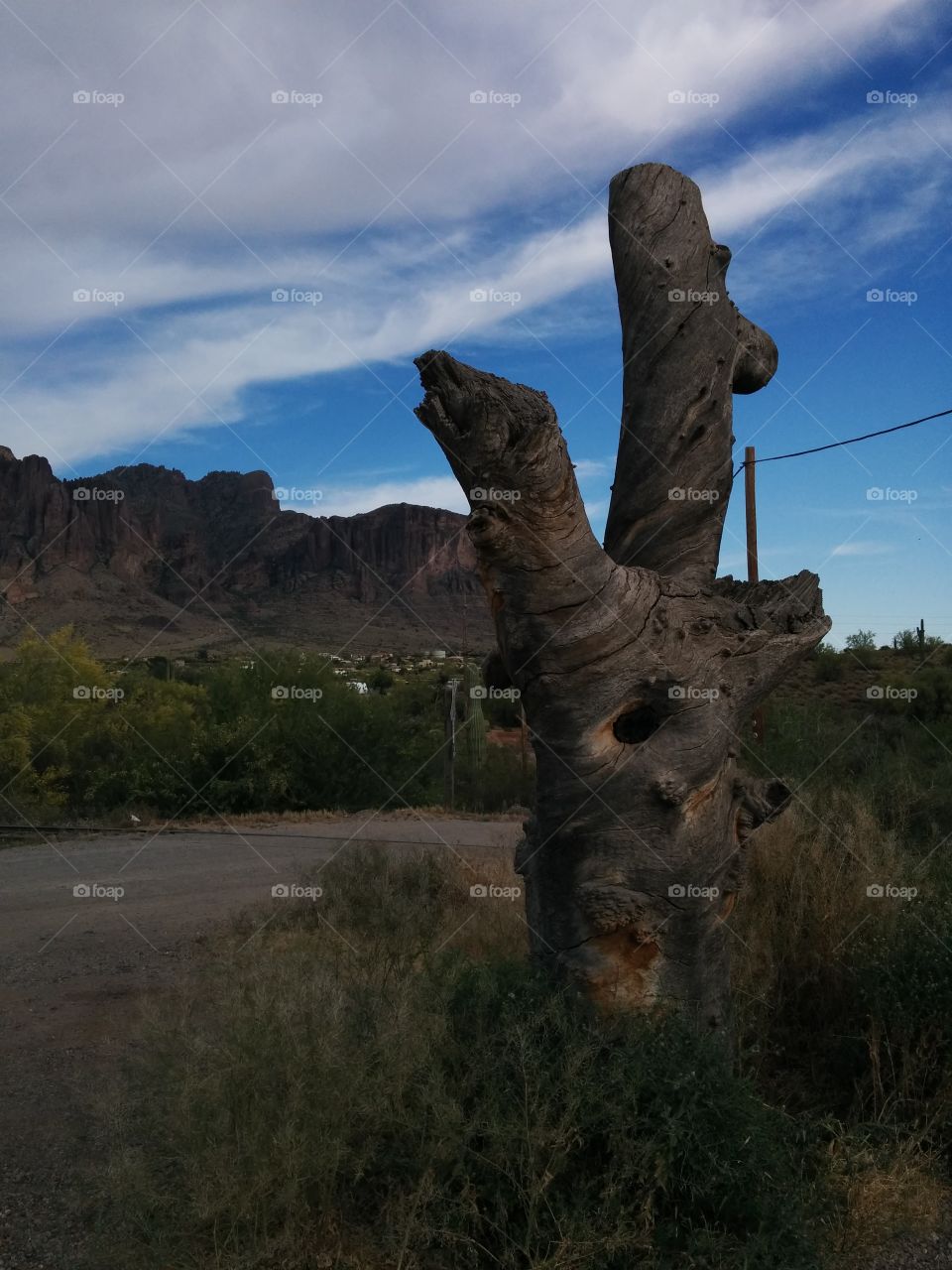 Arizona Ghost Town. Barren town bereft of folk