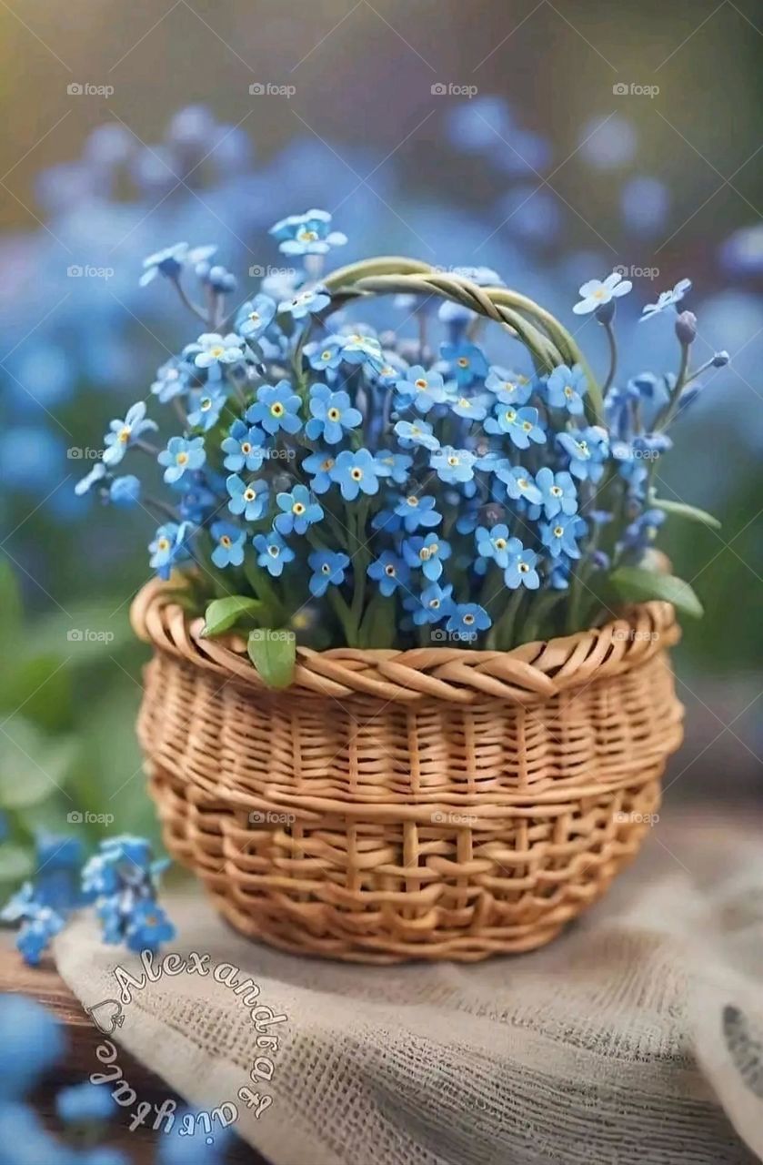 A very beautiful picture, and there is no better picture than it. There is no better picture of green herbs and colorful, red and white roses than it. Glory be to God, the natural and picturesque view, and there is no more