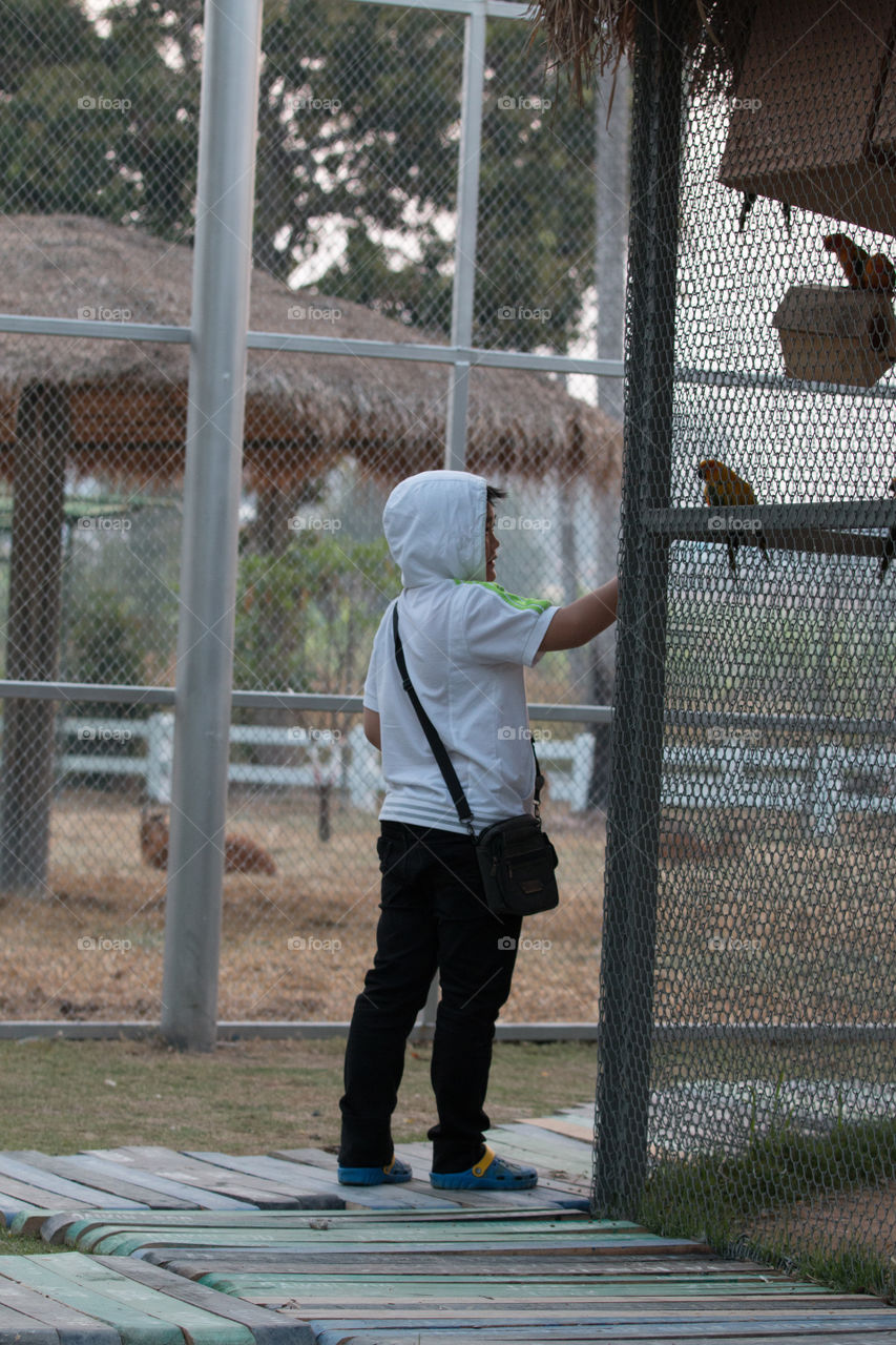 Boy in the zoo