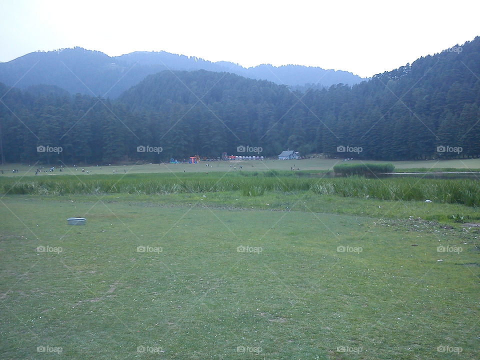 Green mountain field