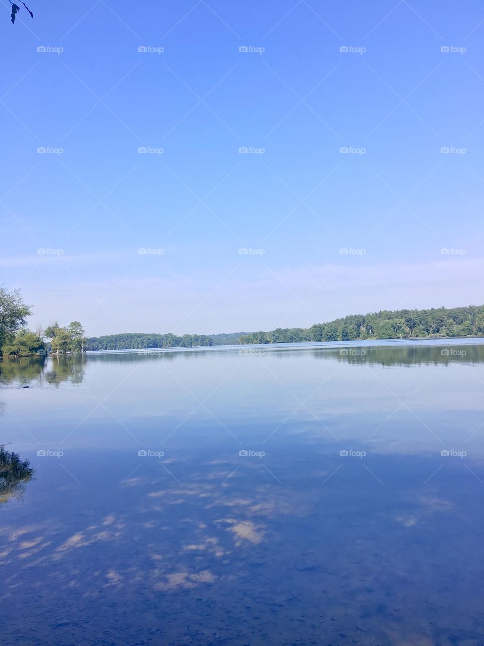 daily walk to the water