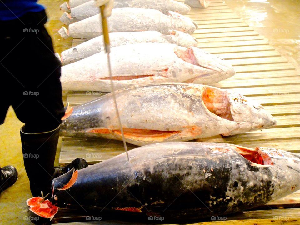 Japanese Fish Market. 