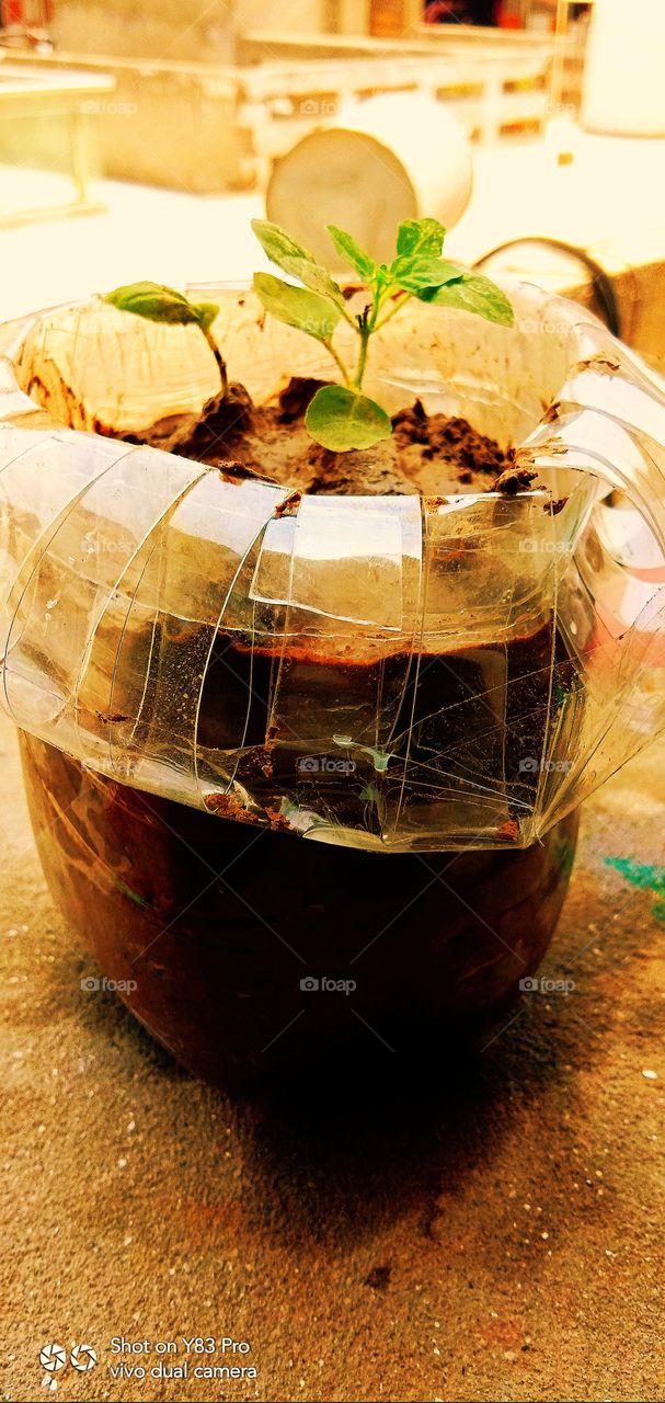 #foap #infoapartemen #foapjuly18 #foapaug18 #foapfeb18 #foapapril17 #foapers #foapjune18 #fotografoaprendiz #sfoapprentices #foaper #infoapartment #foapmission #foapmay18 #foapapr18 #foapit #infoaplikasipaytren #infoapple #foapom #foapjan19 #infoapp