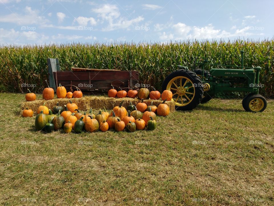 pumpkin display with tractor and trailer