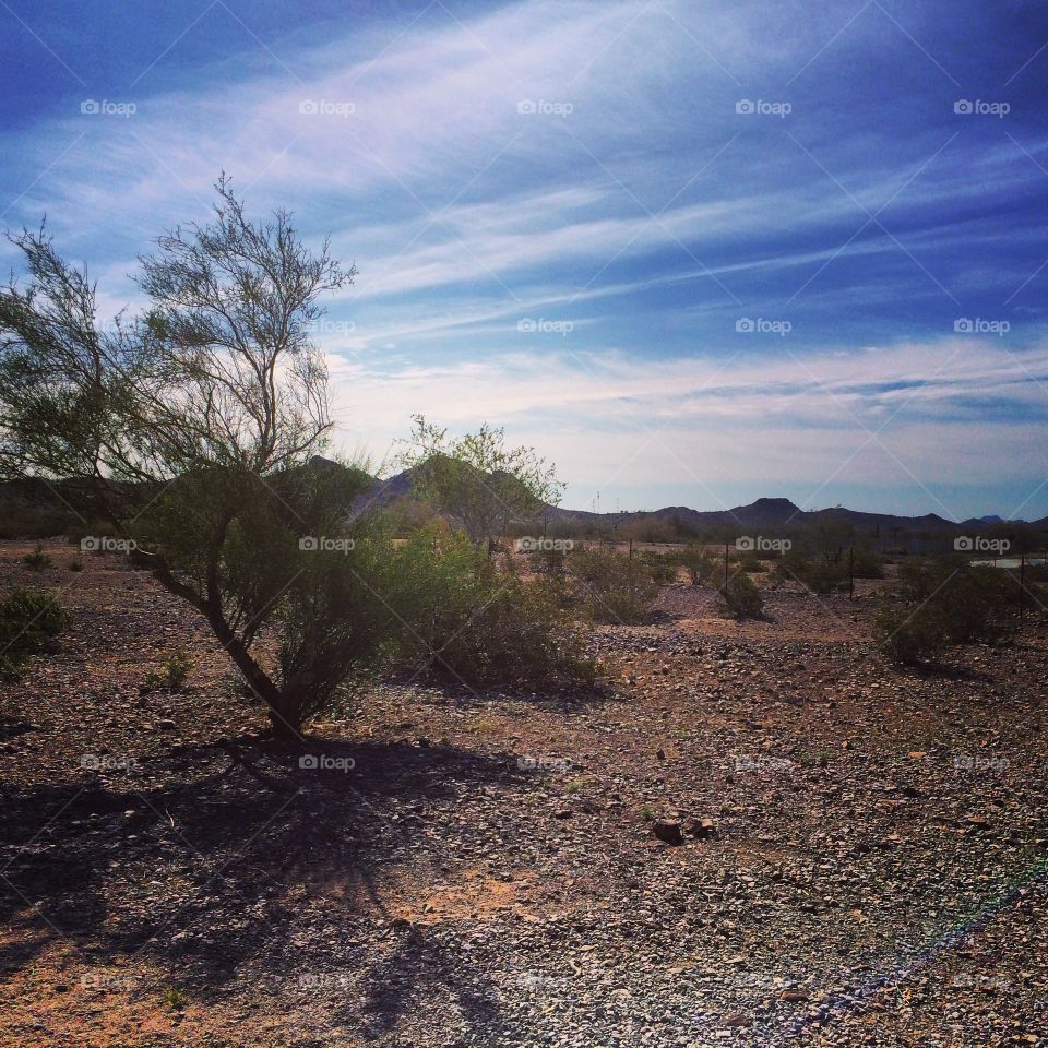 Arizona sky. Arizona