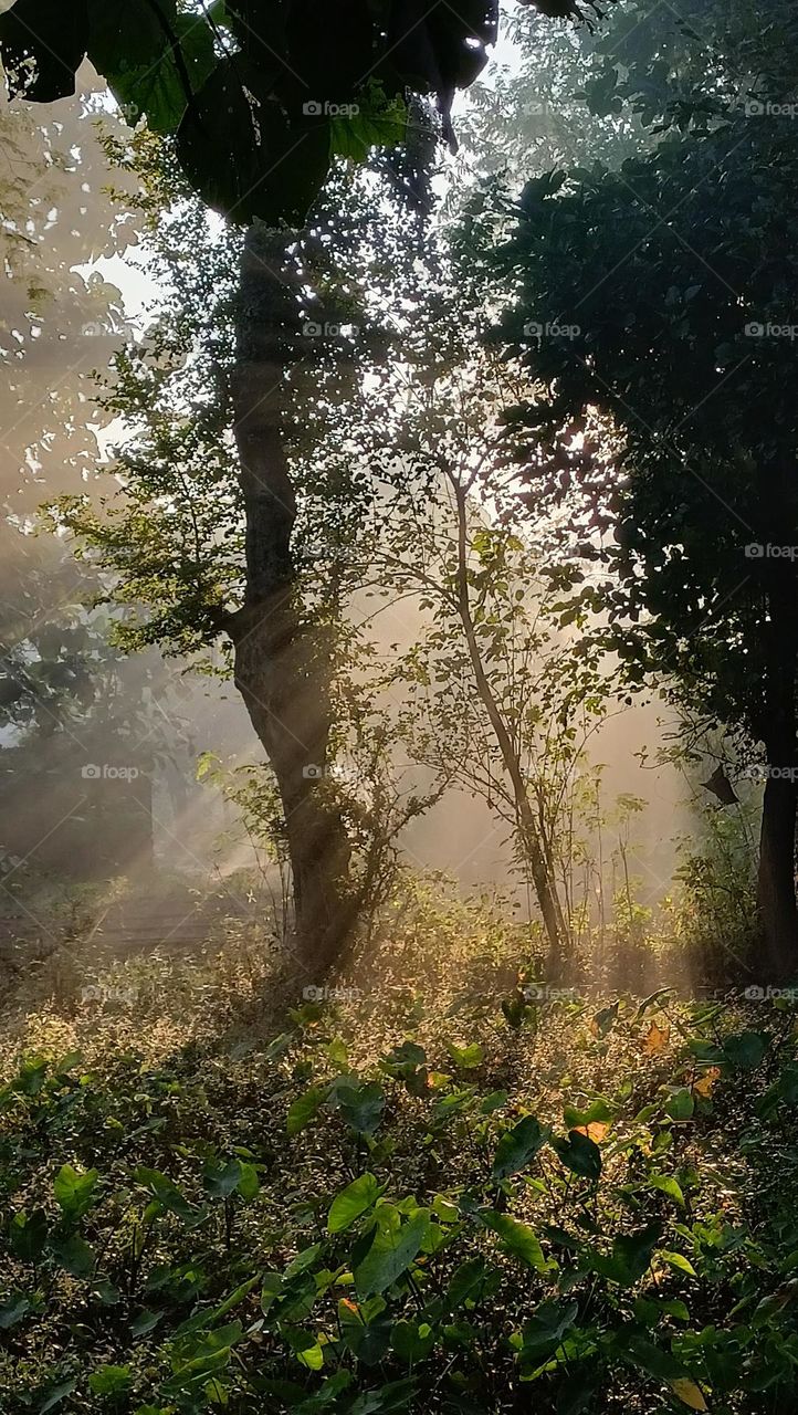 Nature is the best healing thing. IG:@life_blues_into_creation.