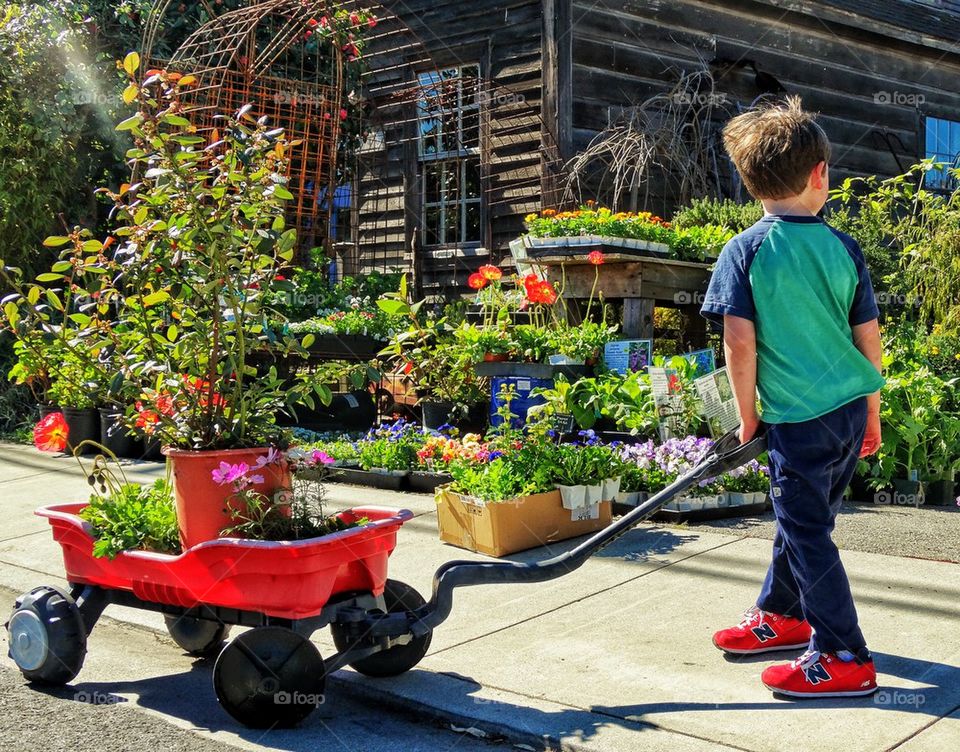 Little Boy With Red Wagon In The Garden
