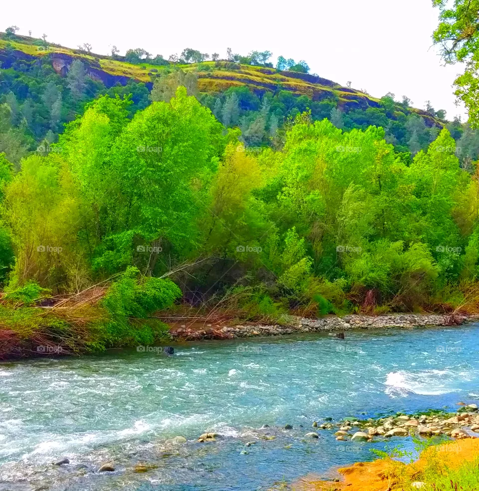 Chico creek