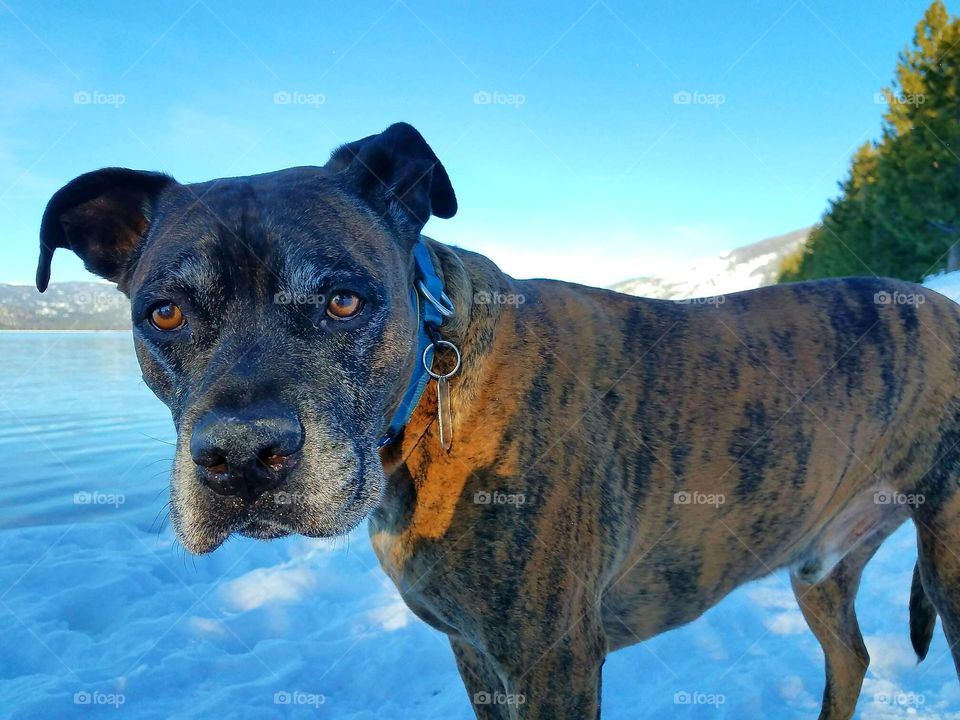 Thor up in Lake Tahoe!