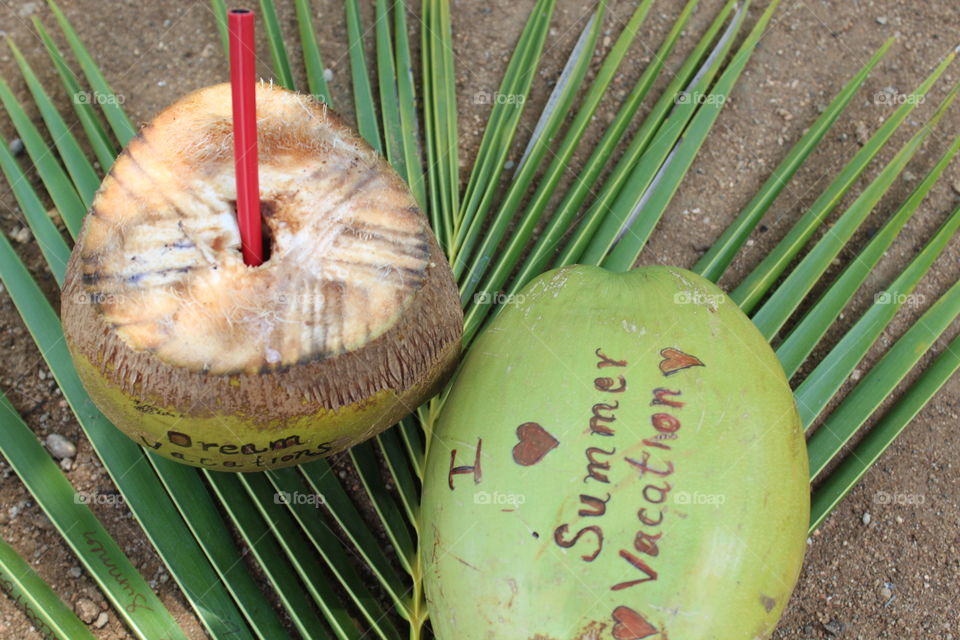 summer cocunut