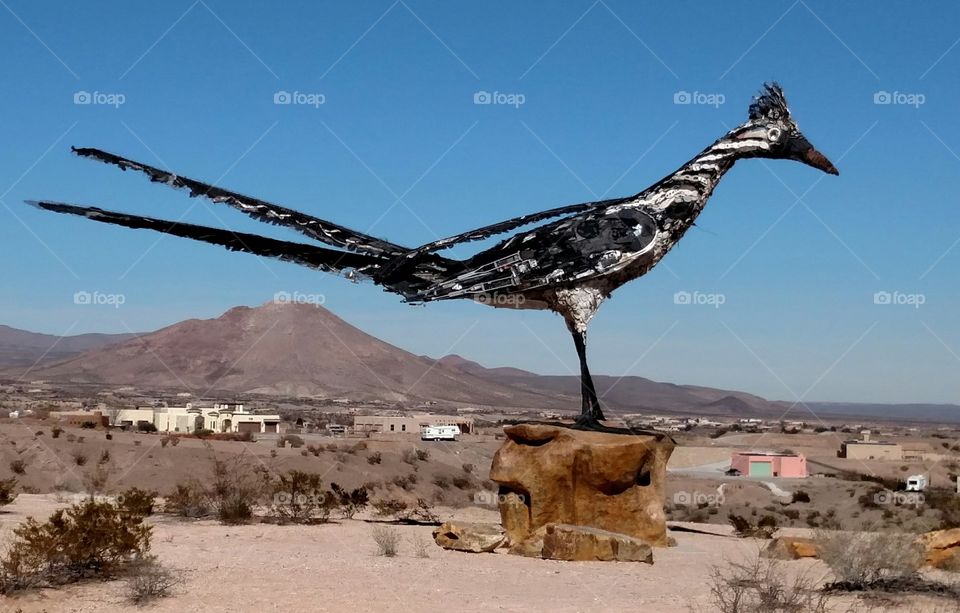 Recycled Roadrunner