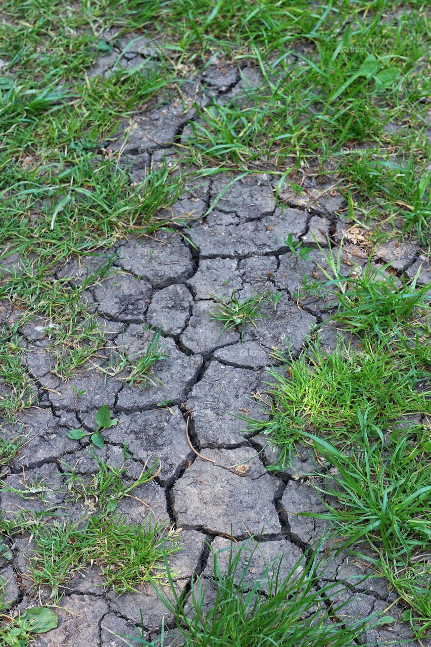 Dried out cracked ground in summer with lack of water