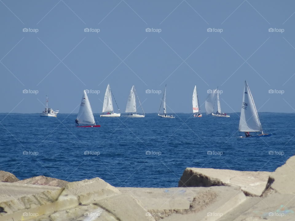 Sailboats race or regatta