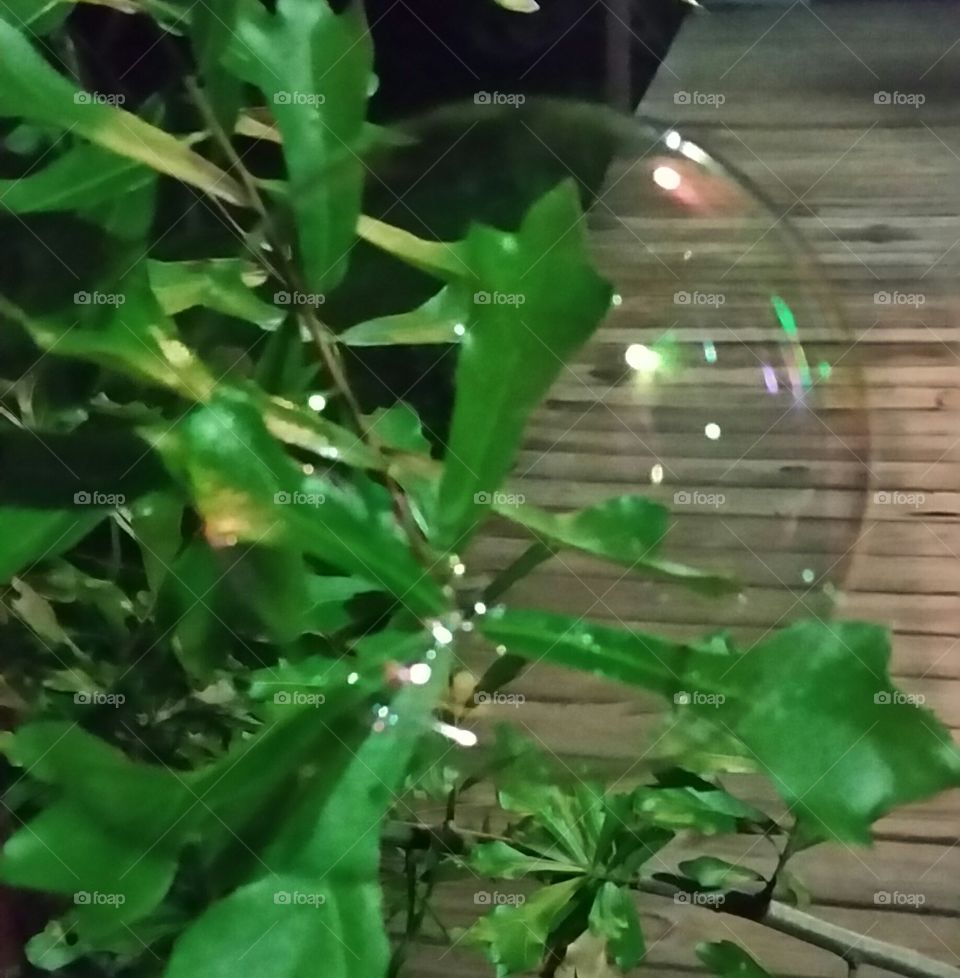night bubbles 1