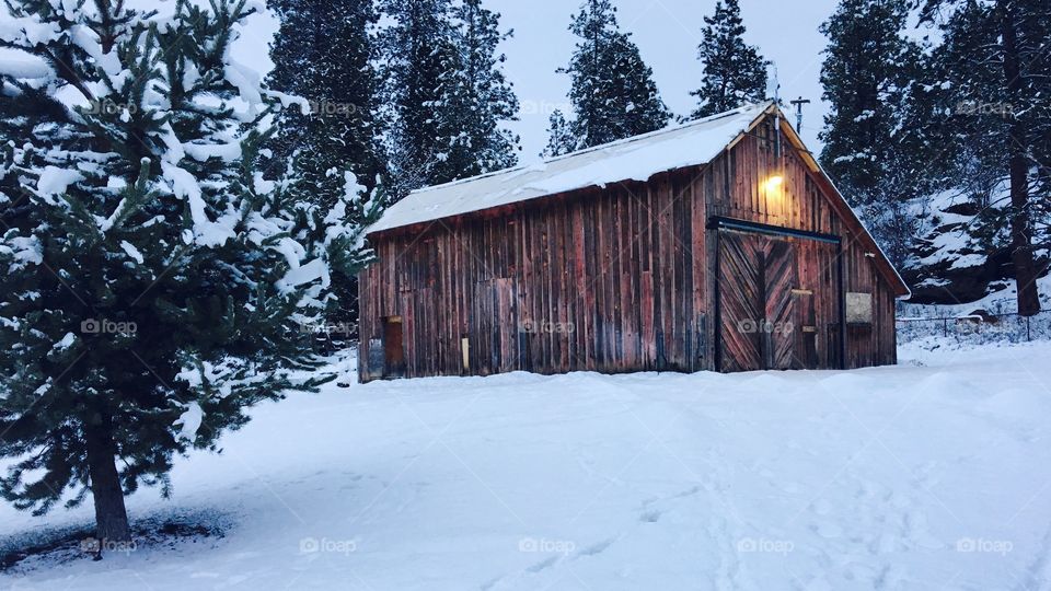 Winter Barn