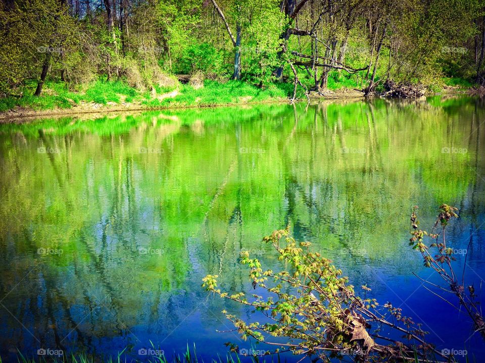 Spring on the white River. 