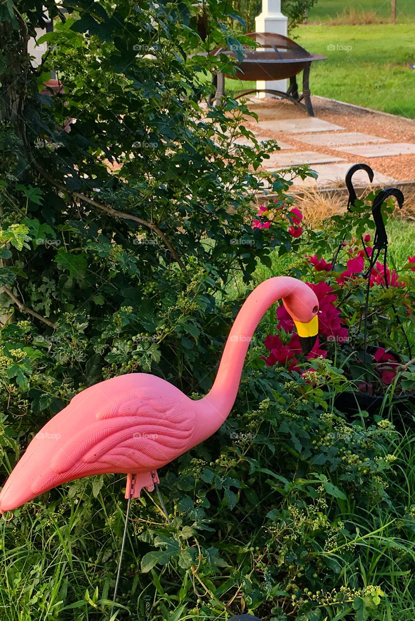 A lone pink garden flamingo sharing space with its floral comrades 