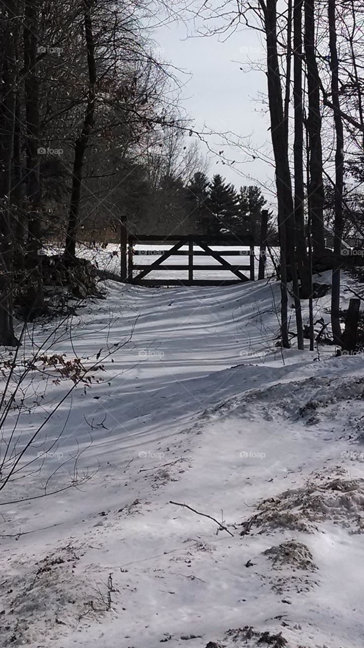 gate