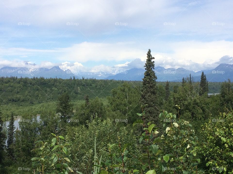 Denali Alaska