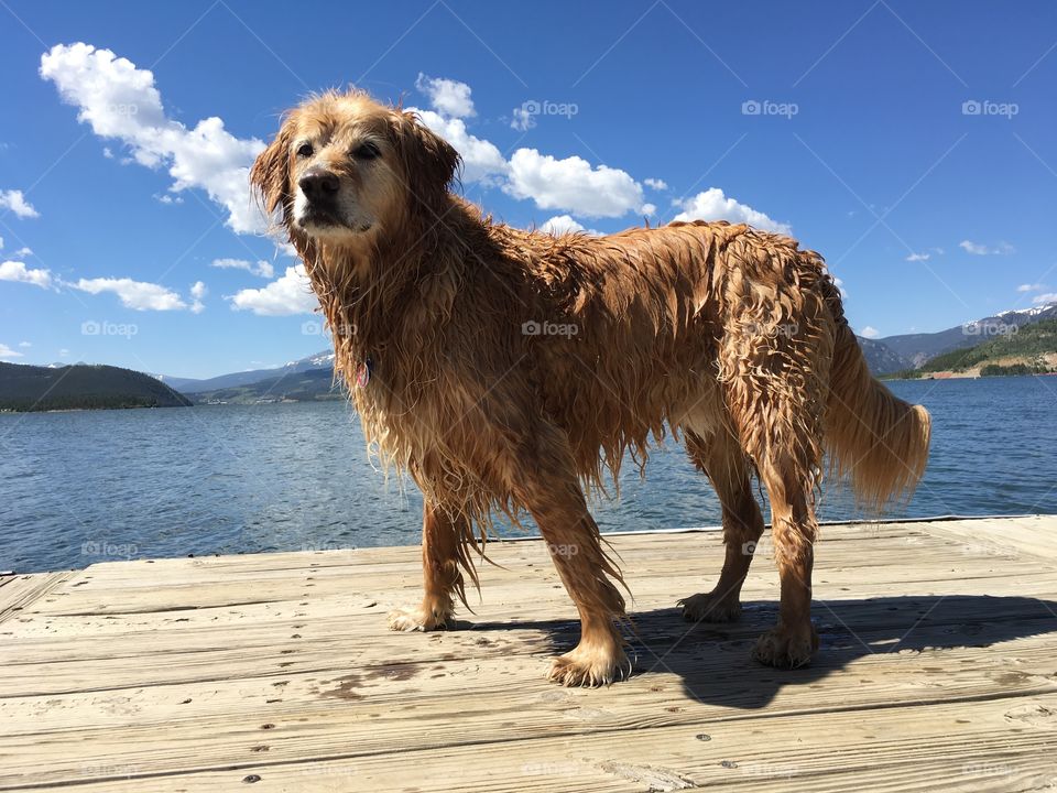 Staying cool at a lake 