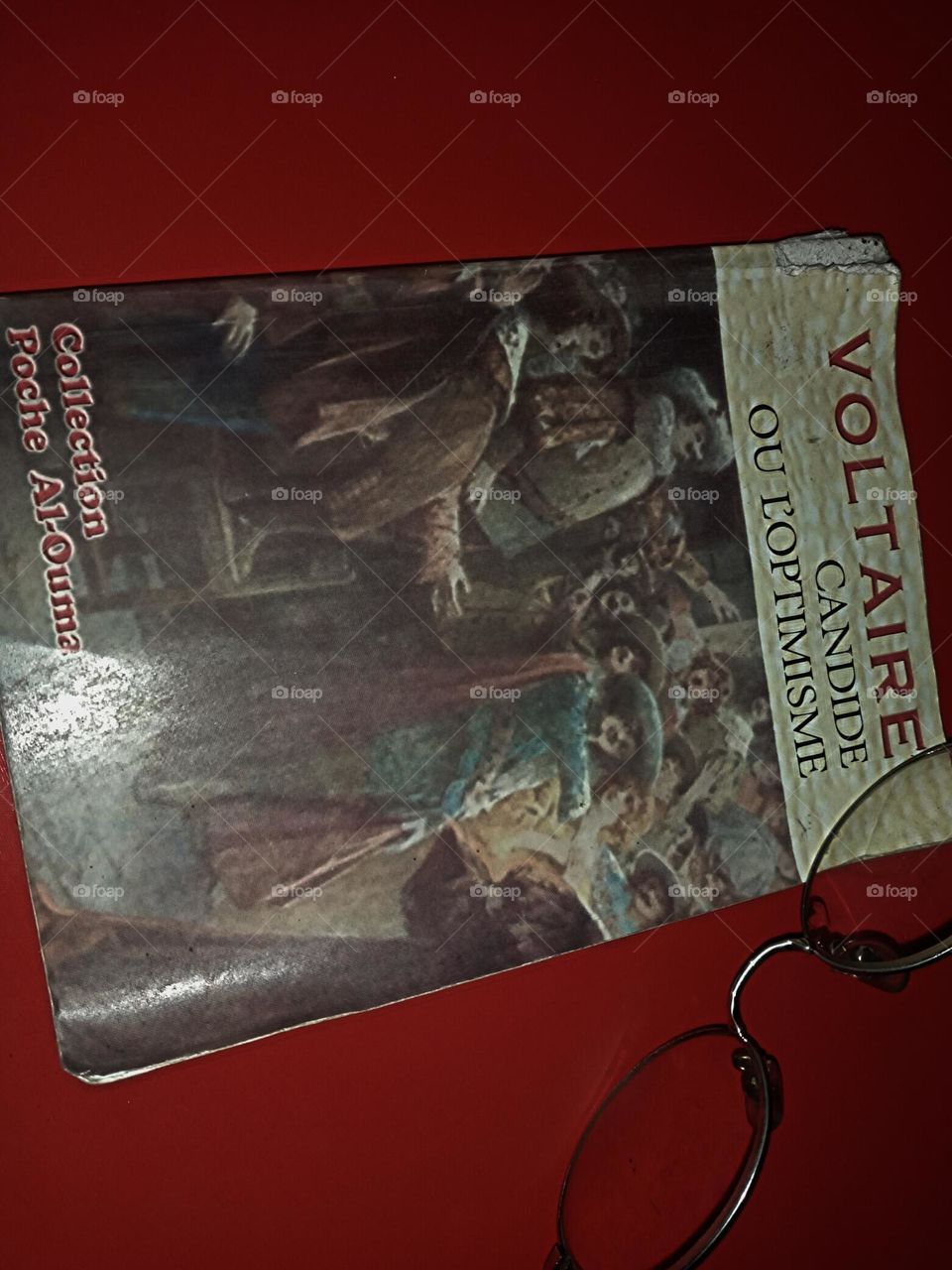 Voltaire book