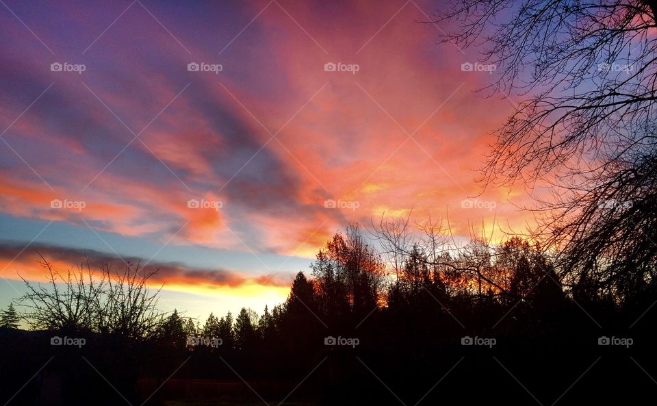 During the dark, dreary days of Fall, when one is up often way before sunrise, this was a glorious sight that treated me just before I headed out to work. A morning sunrise like this simply set such a positive tone to the beginning of my day.